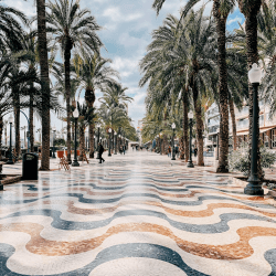 Alicante Los 4 Reinos - Alicante 